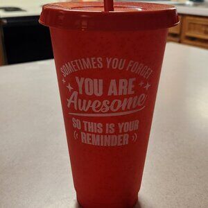 24 Oz. Plastic Tumbler with Lid